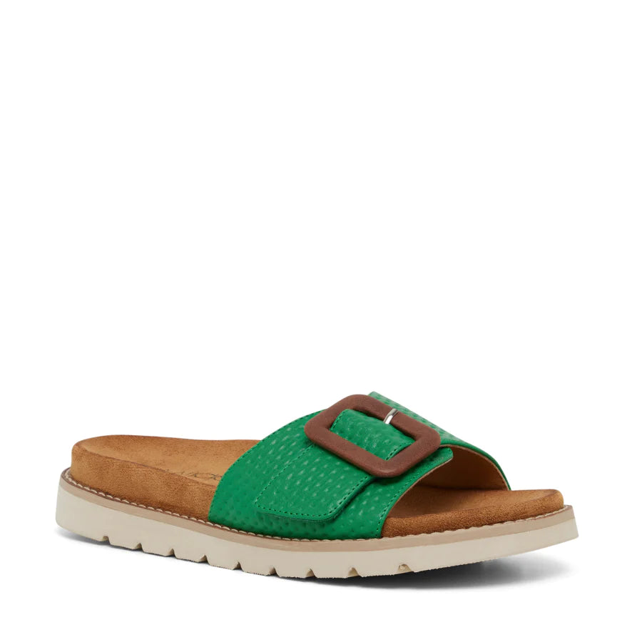 Wilde Sarai Slide- Green