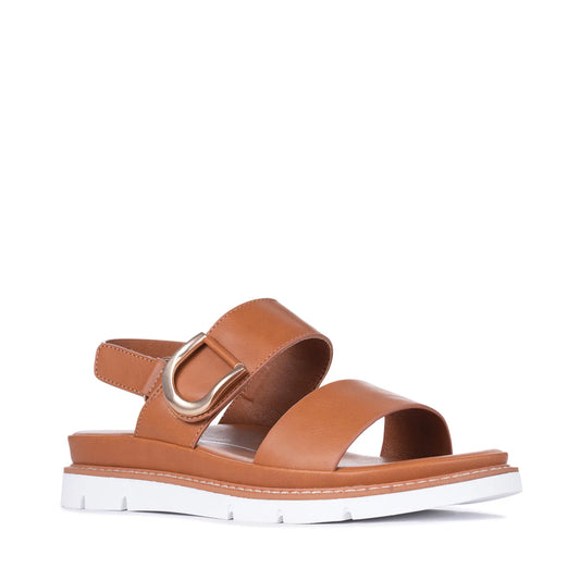 Los Cabos Sana - Brandy