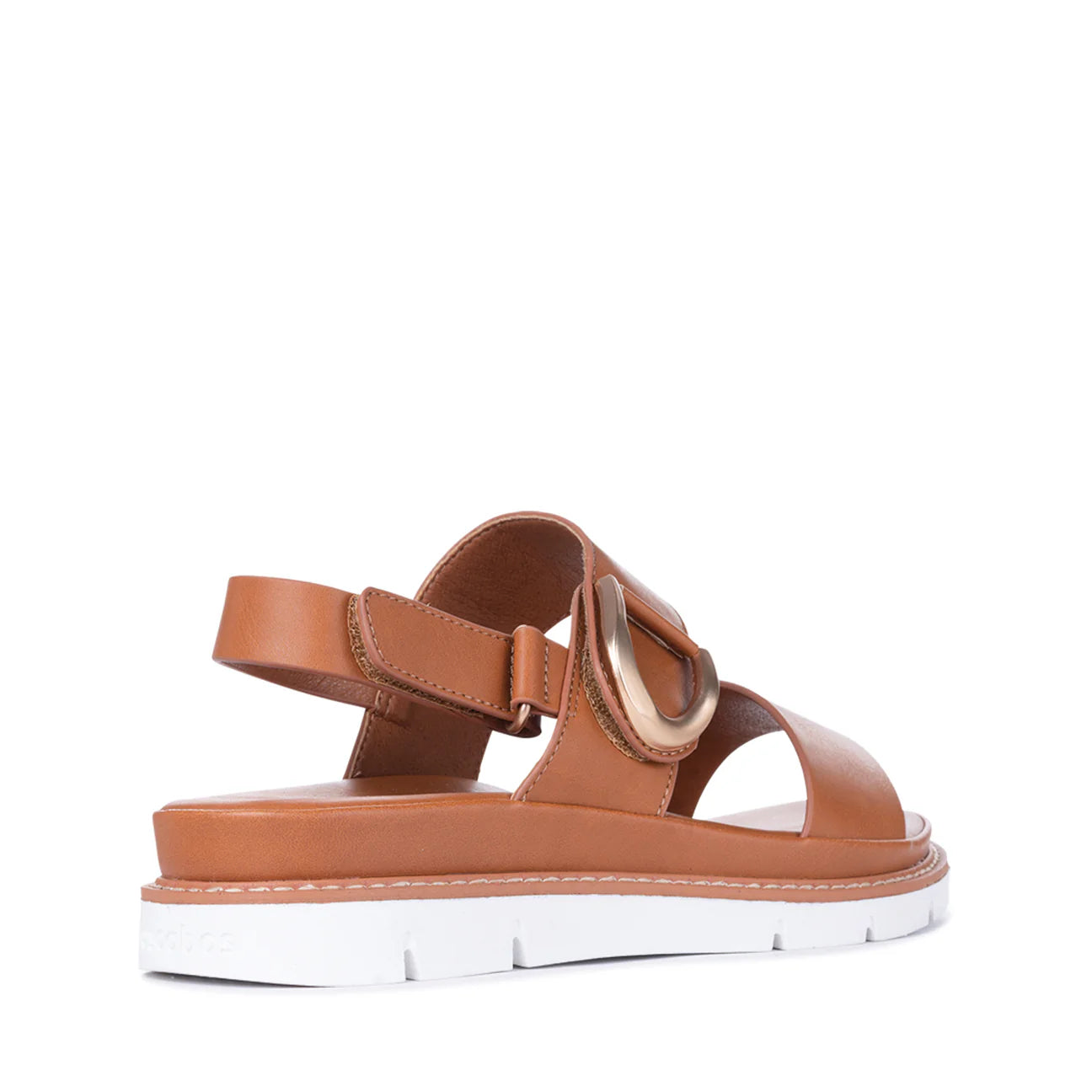 Los Cabos Sana - Brandy