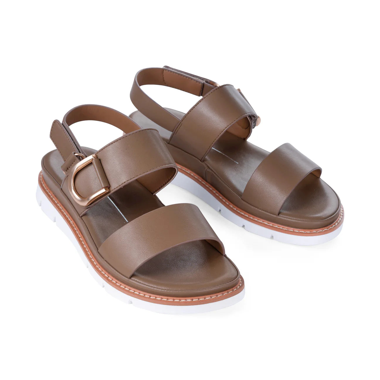 Los Cabos Sana - Nocciola