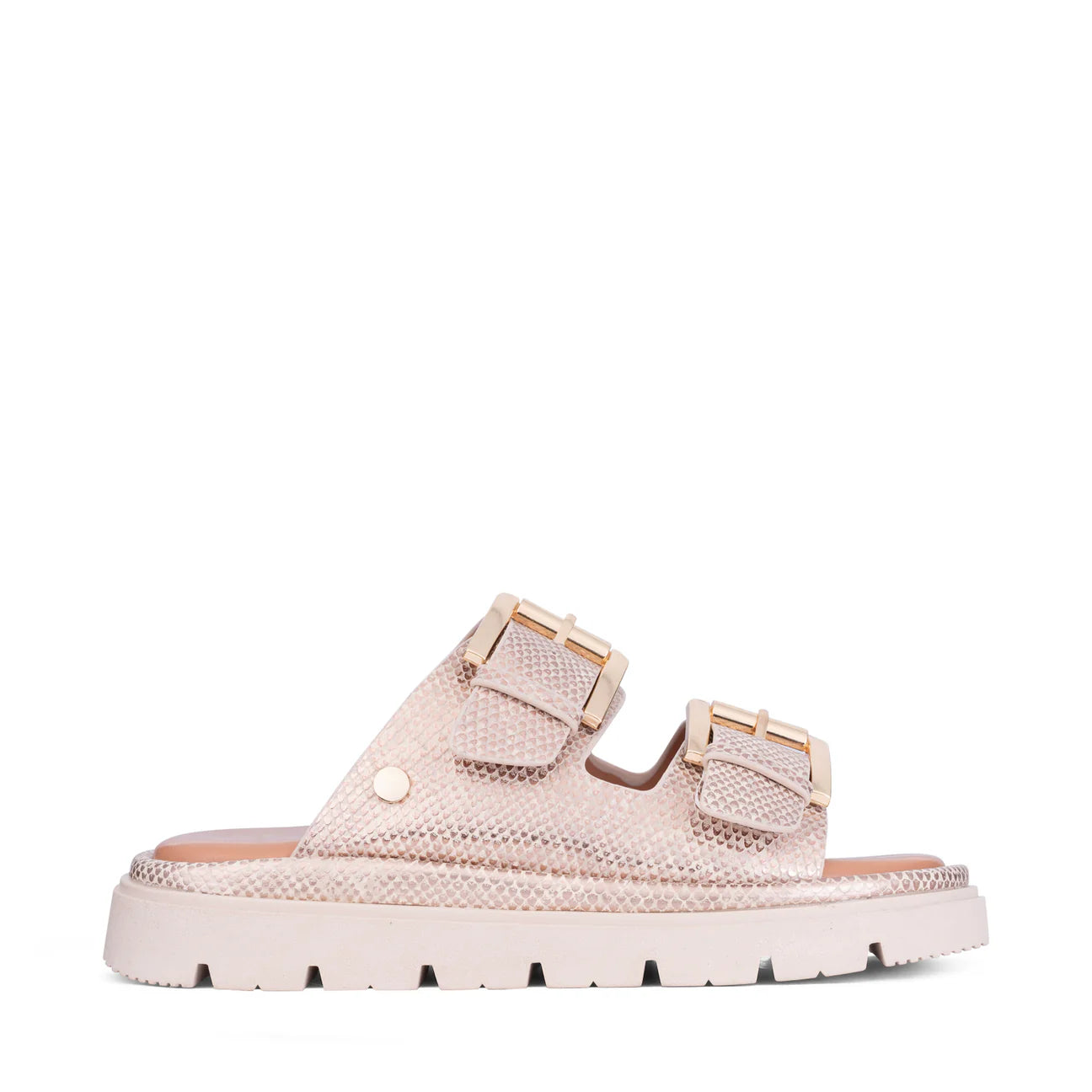 Los Cabos Toledo - BeigeLizard